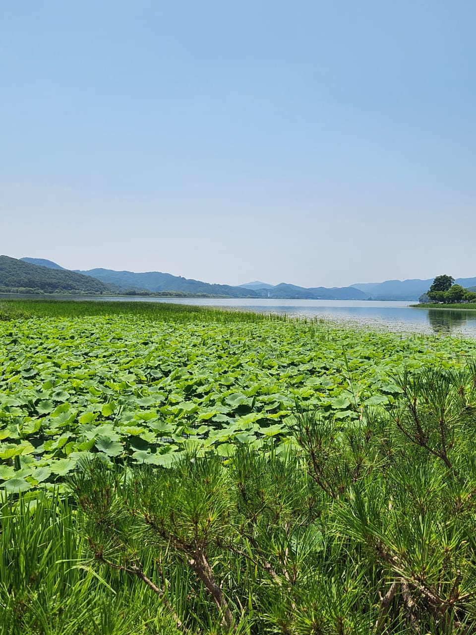 Environmental Sustainability